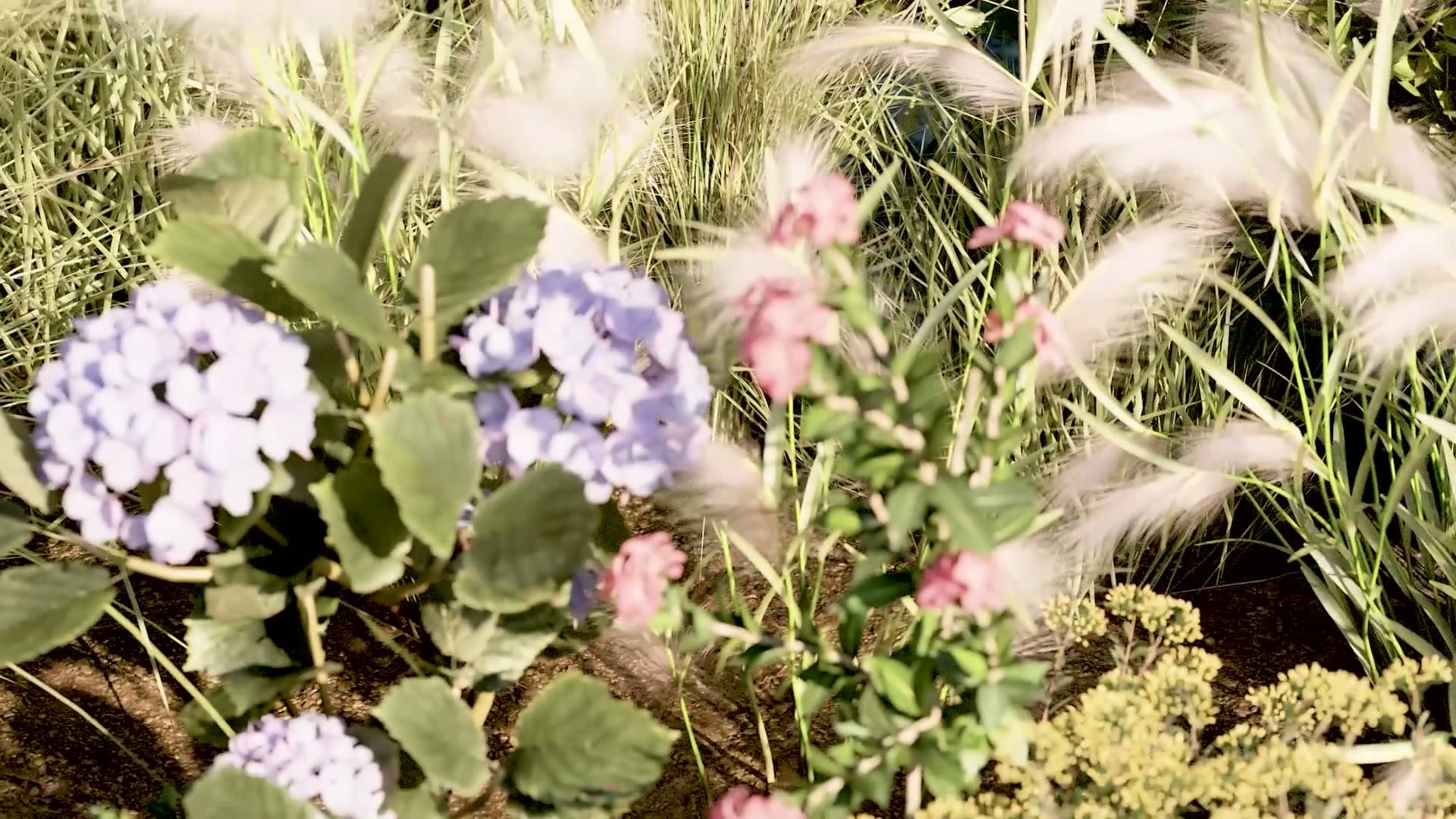 Blender Archviz Camera Trick: Add Real Handheld Motion to Scenes
